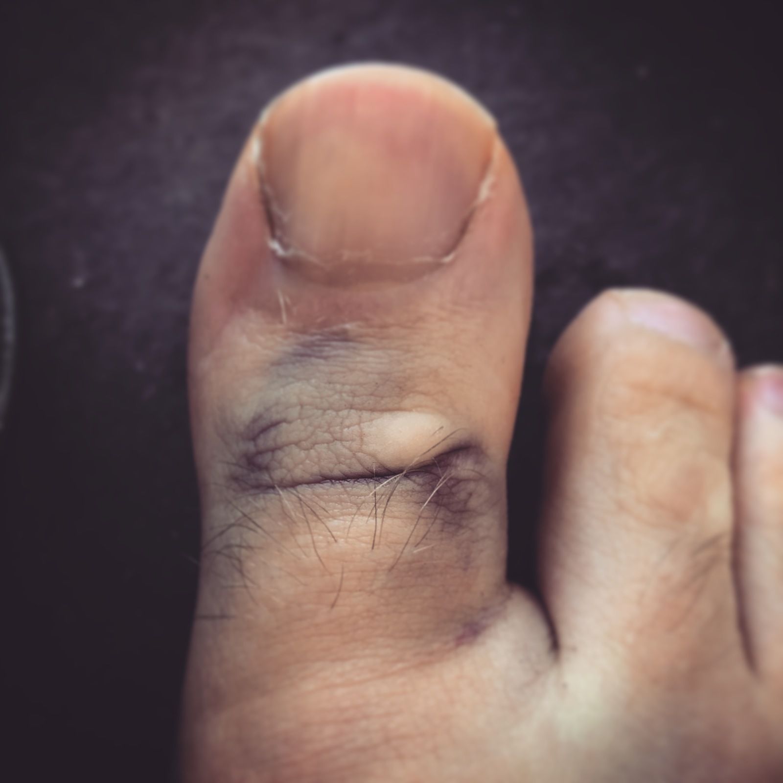 2019-09-12_1.JPG