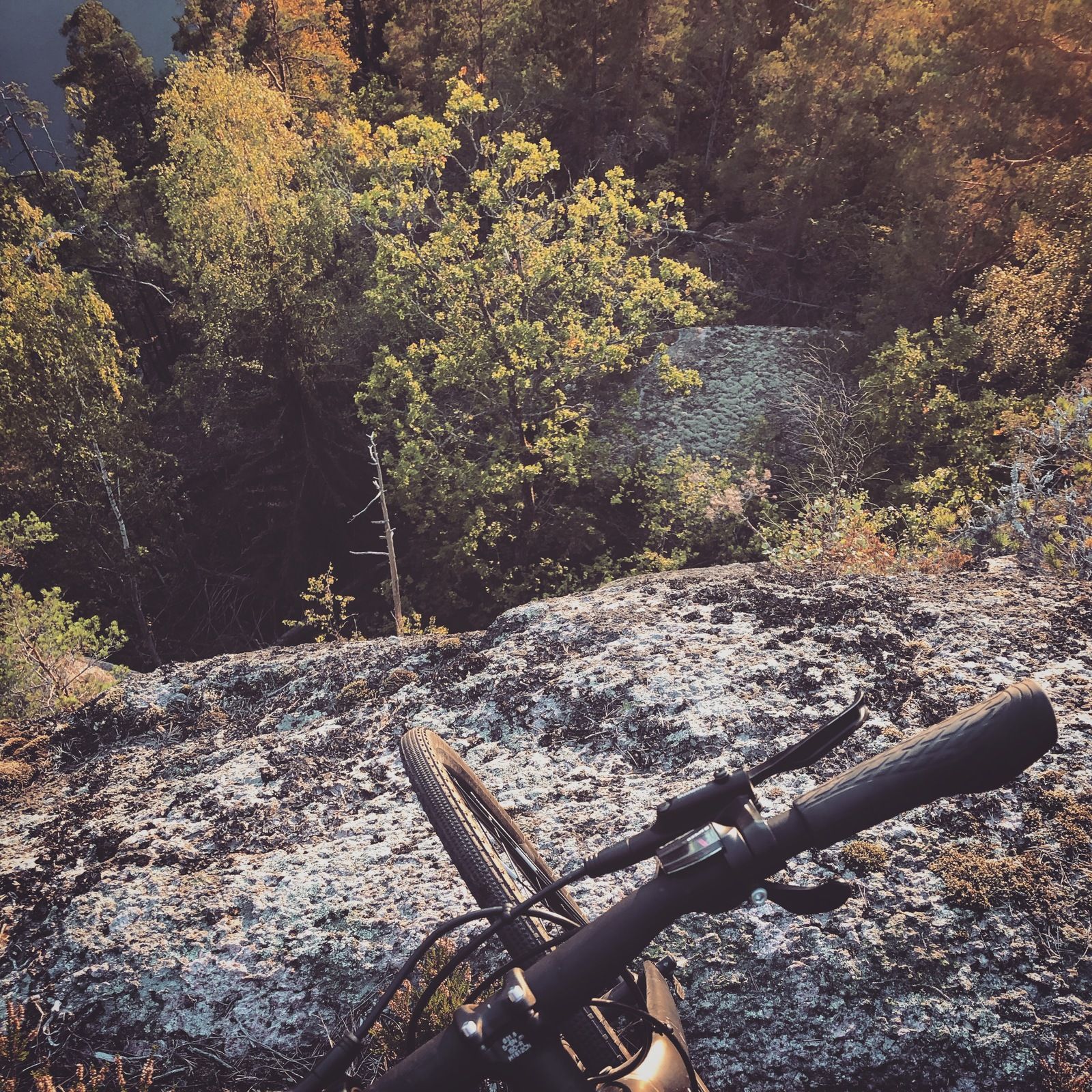 2019-09-20_3.JPG