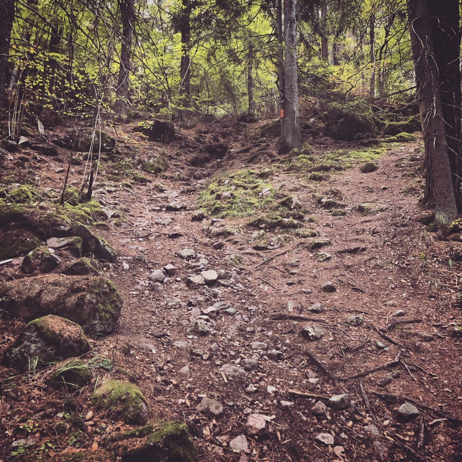 2019-09-20_4.JPG