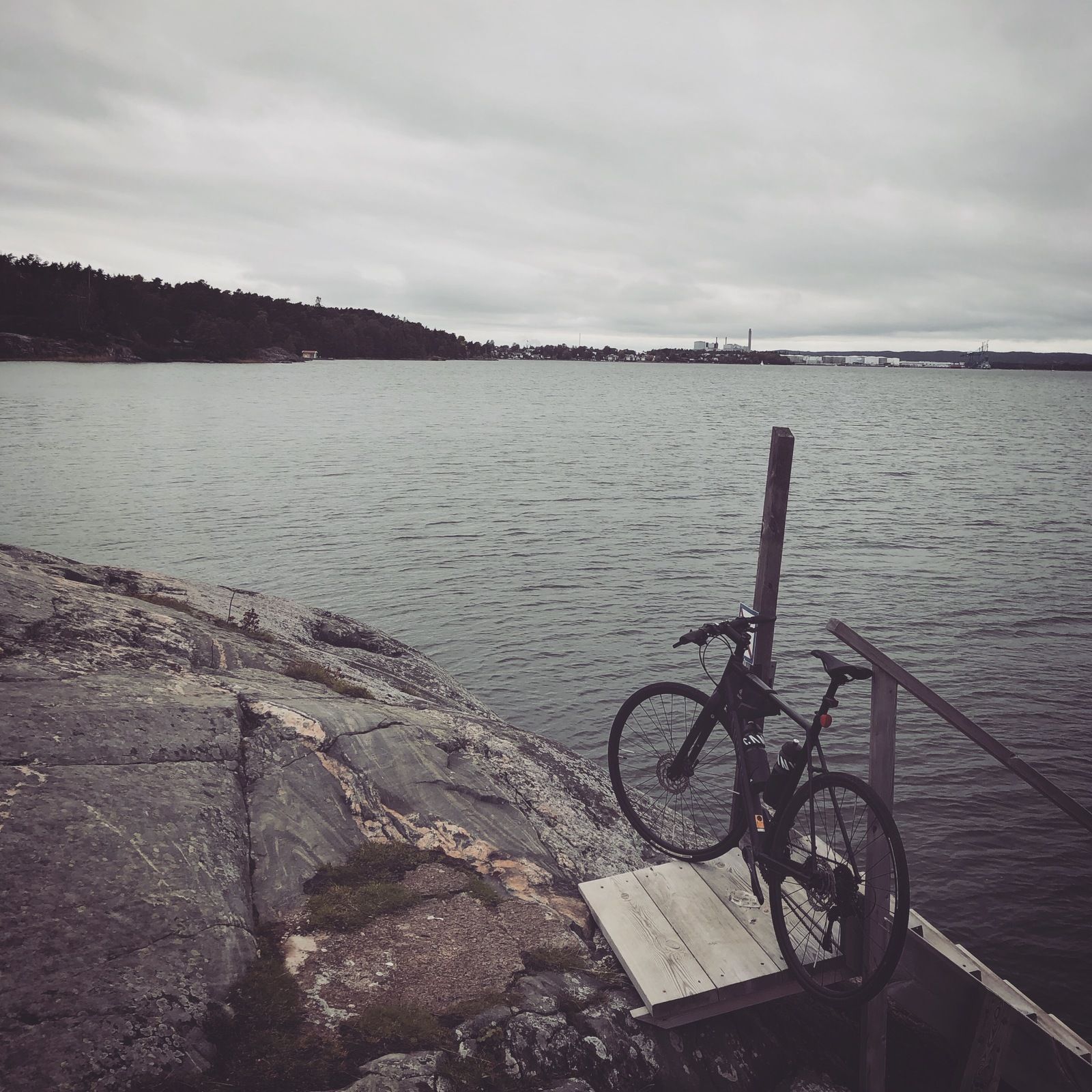 2019-09-22_1.JPG