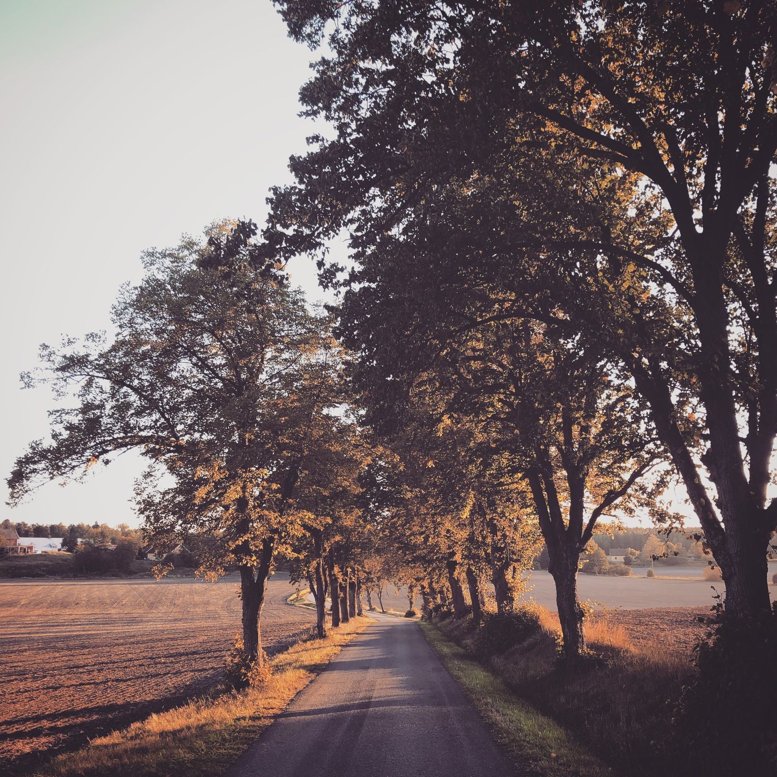 2019-09-24_1.JPG