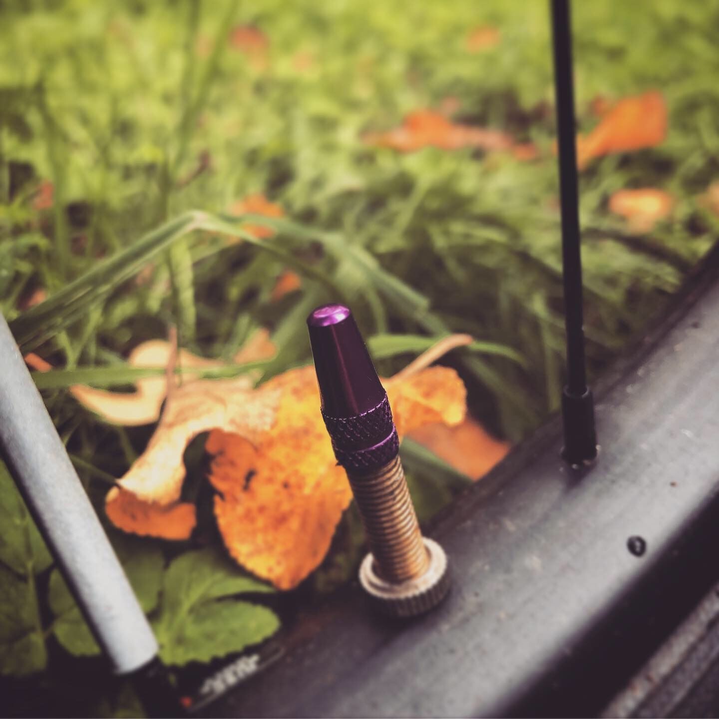 2019-10-03_3.JPG