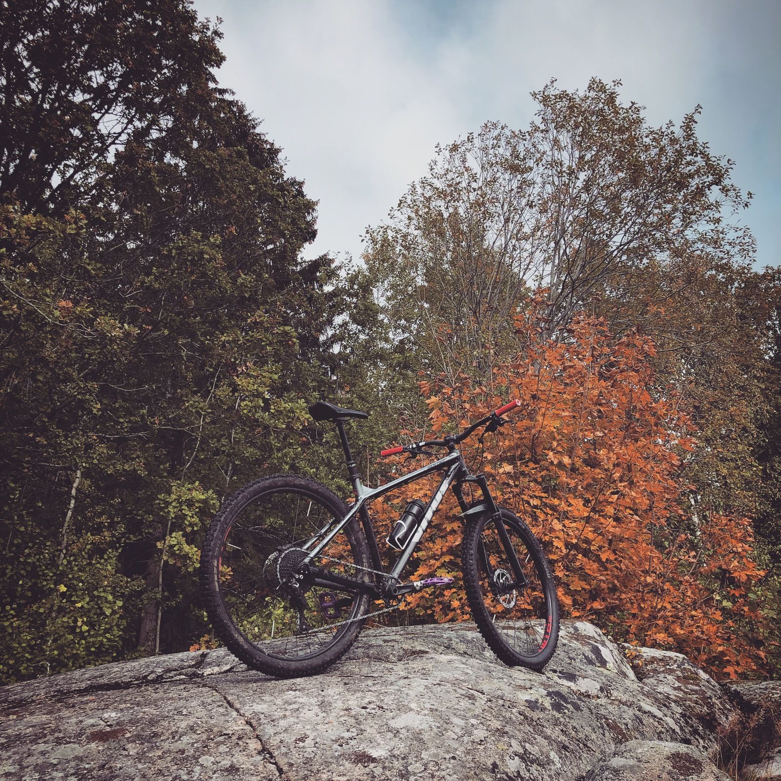 2019-10-03_5.JPG