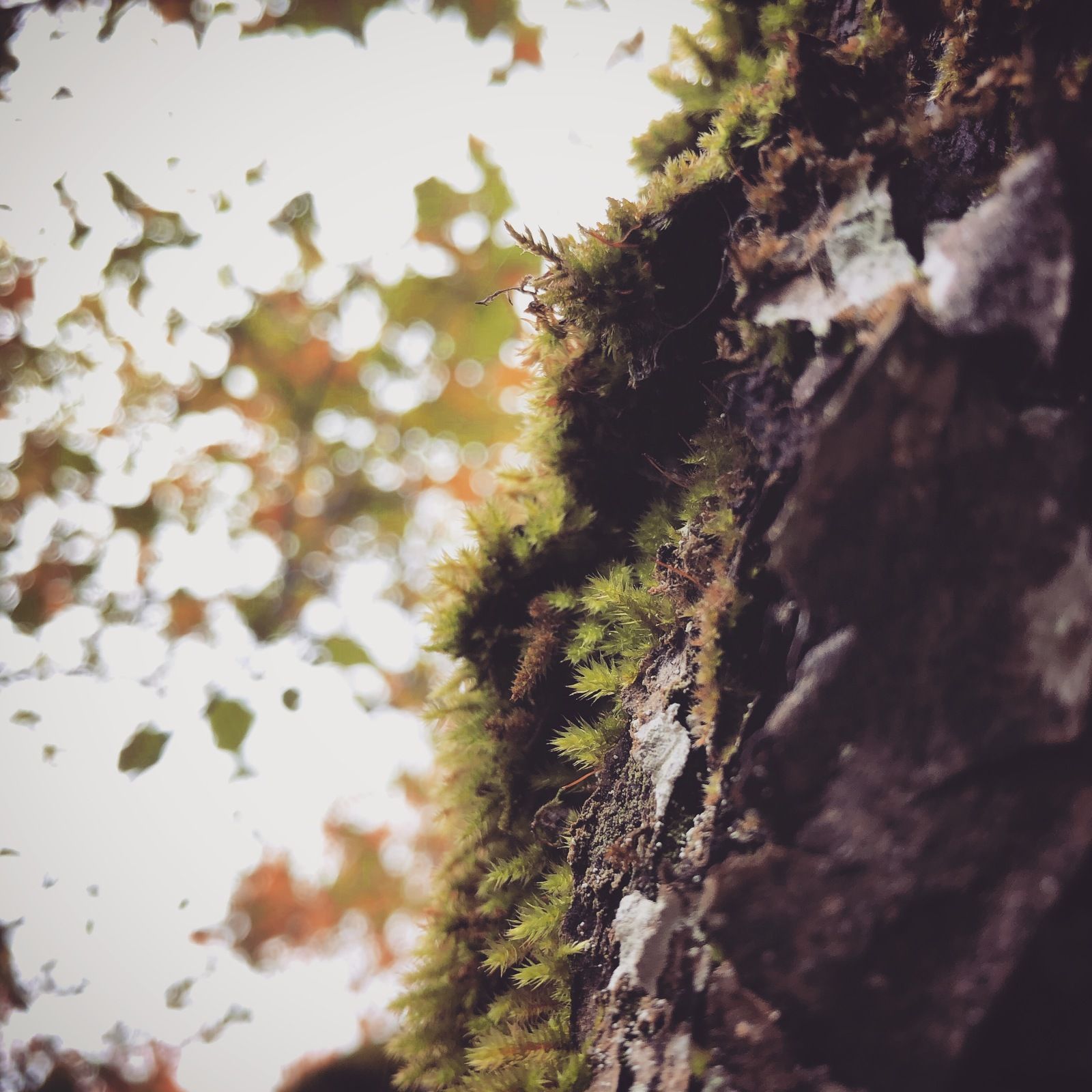 2019-10-03_6.JPG