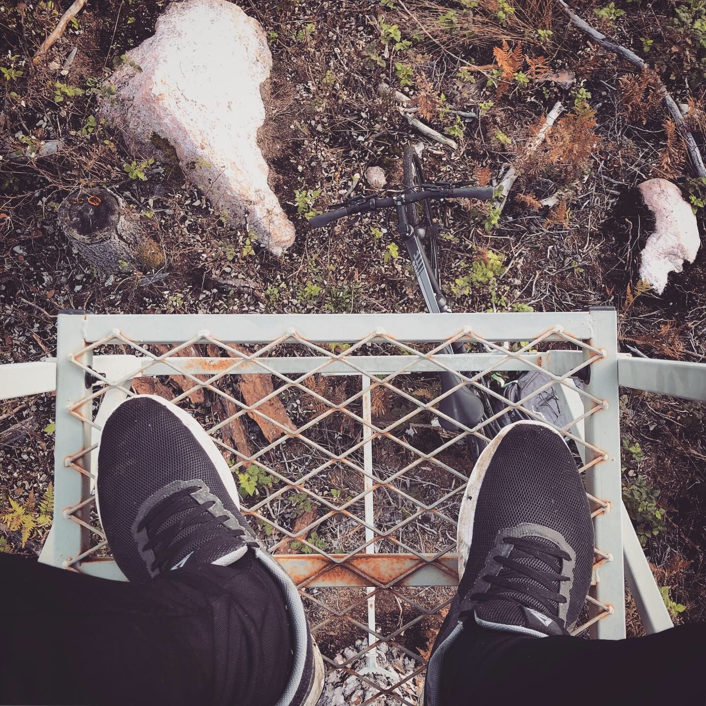 2019-10-05_2.JPG