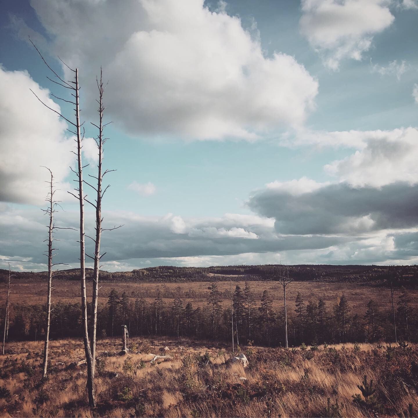 2019-10-05_3.JPG