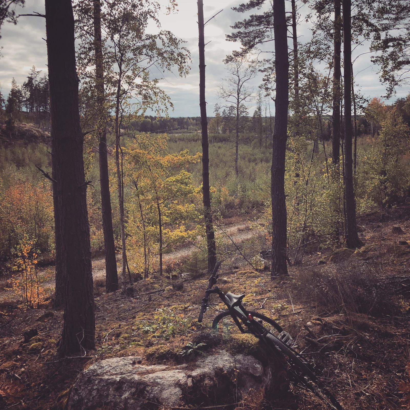 2019-10-06_2.JPG