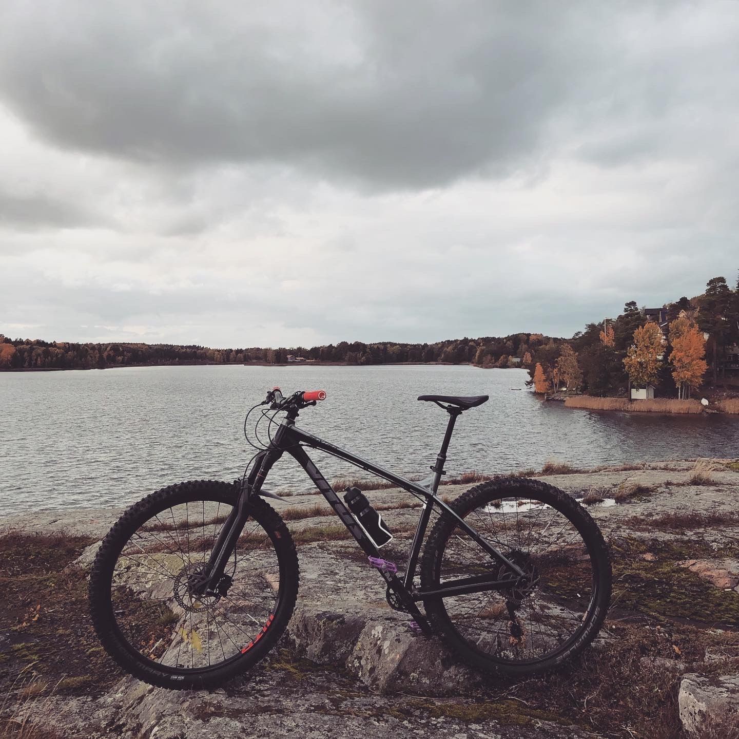 2019-10-12_2.JPG
