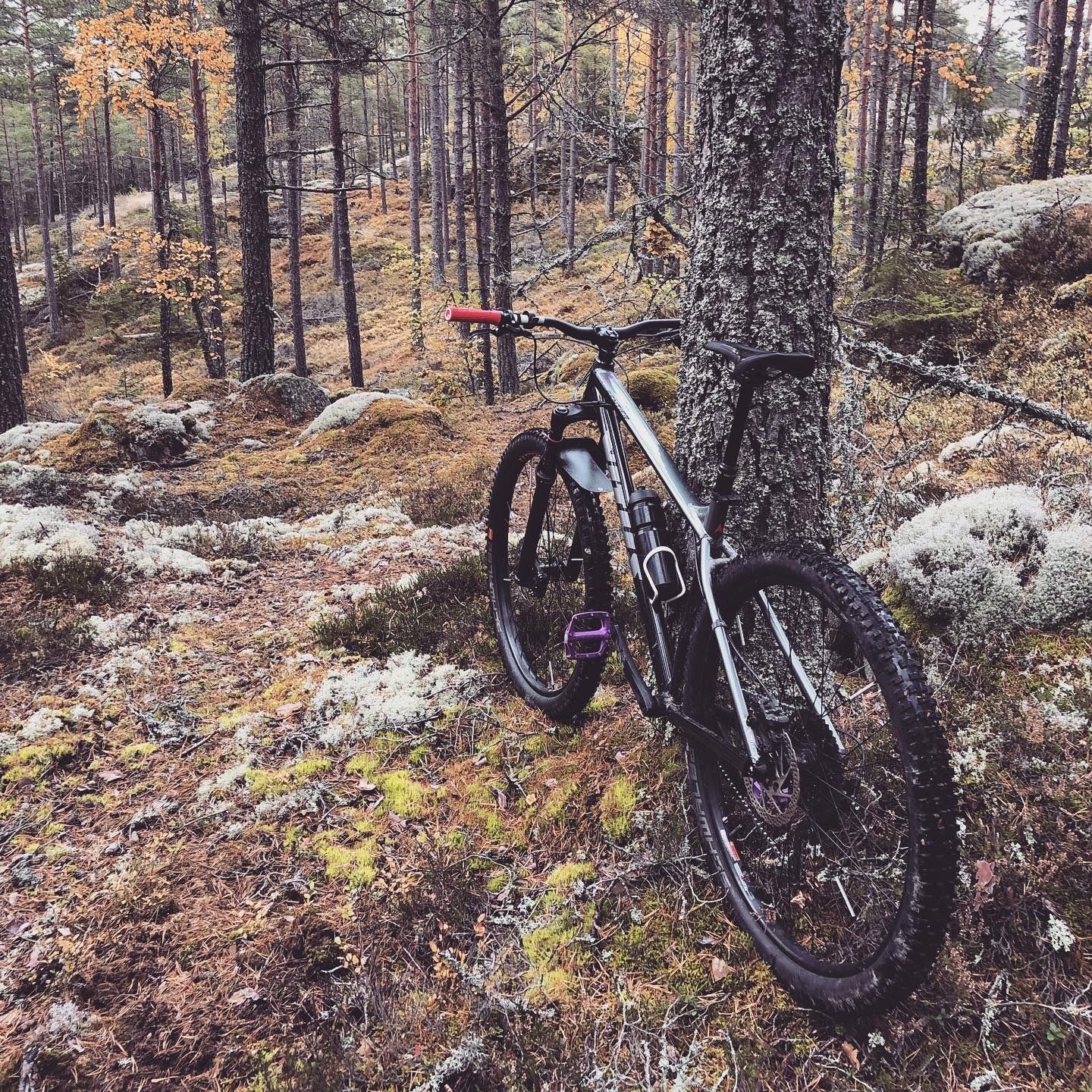 2019-10-12_3.JPG