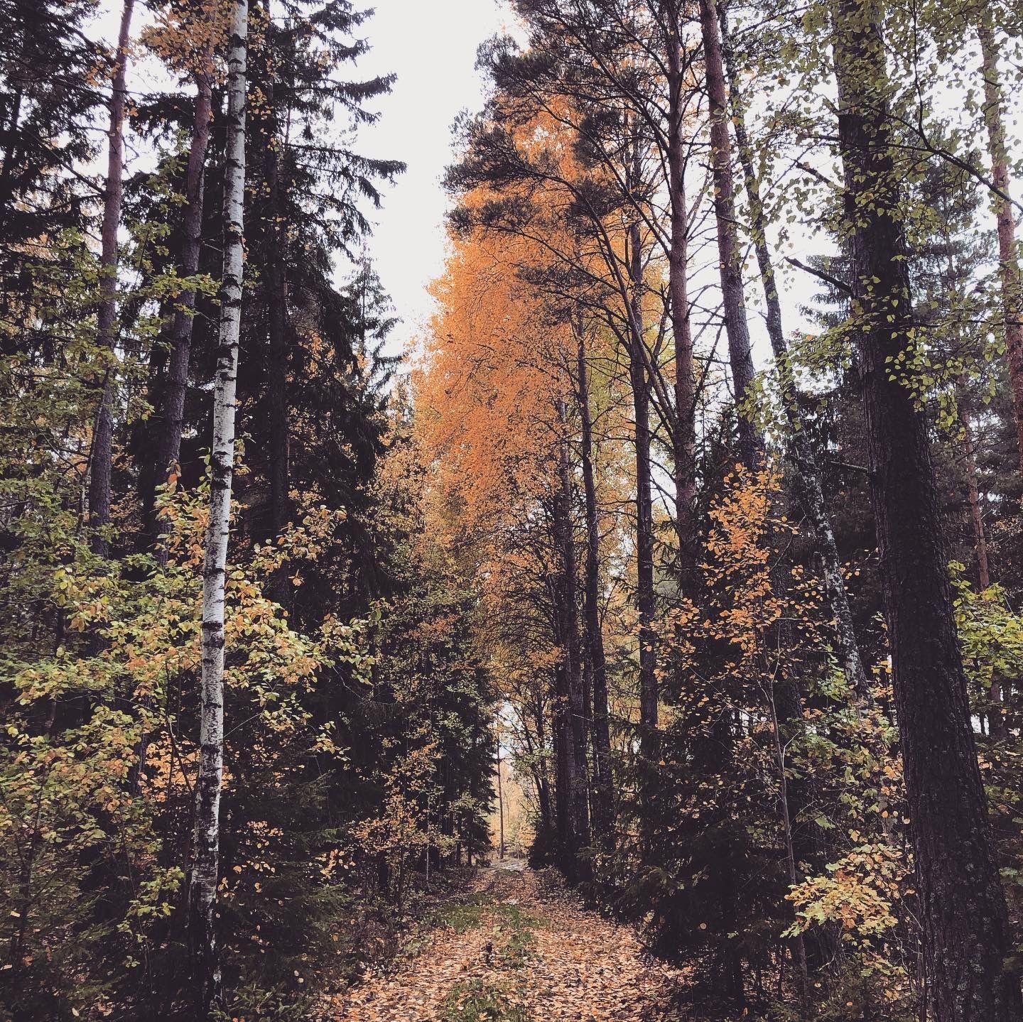 2019-10-12_4.JPG