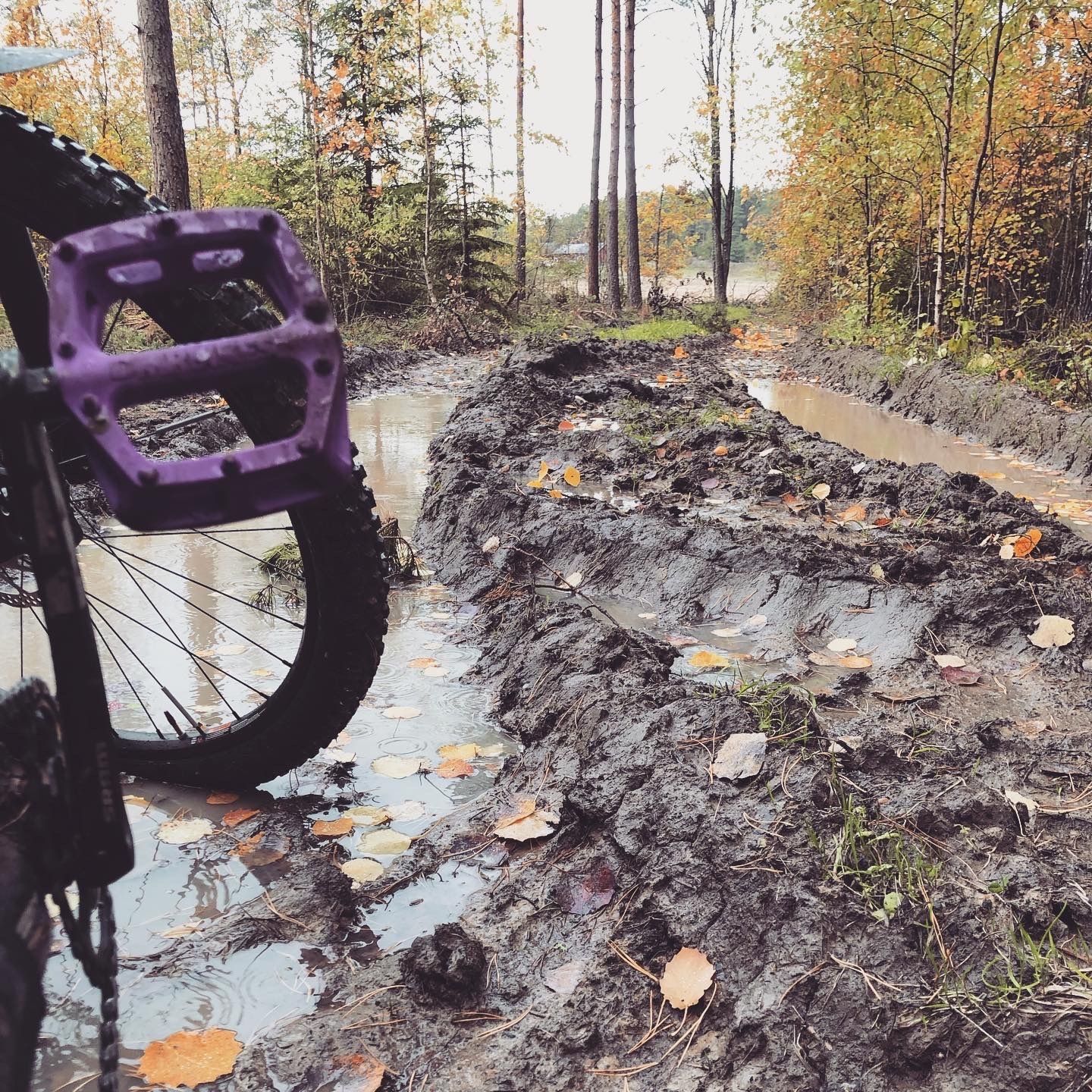 2019-10-12_5.JPG