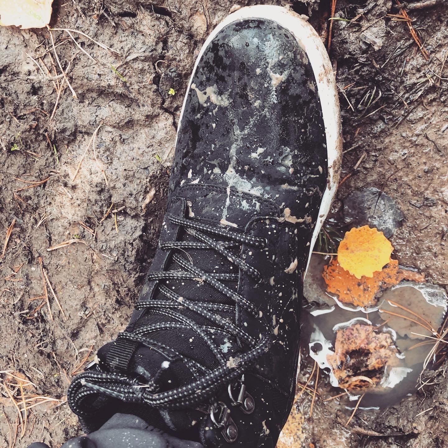 2019-10-12_6.JPG