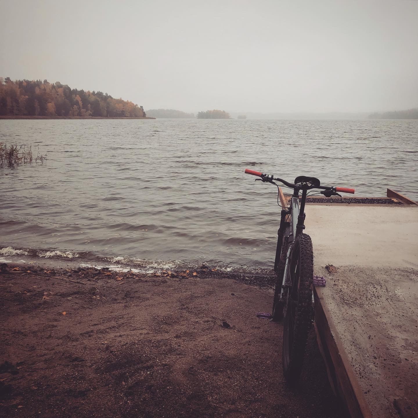 2019-10-16_1.JPG