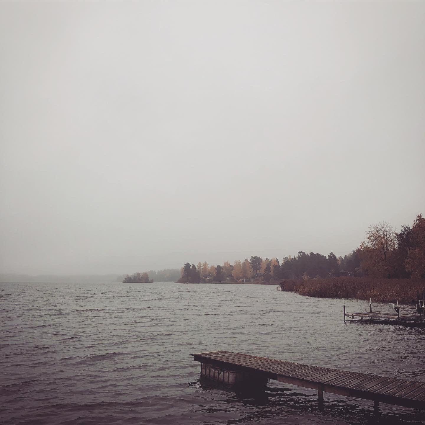 2019-10-16_2.JPG