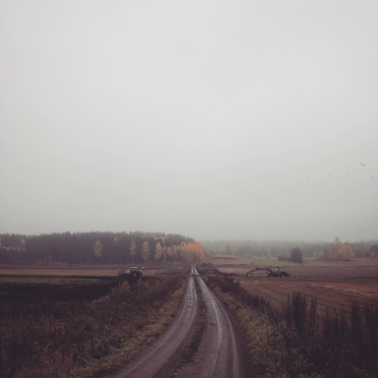 2019-10-16_3.JPG