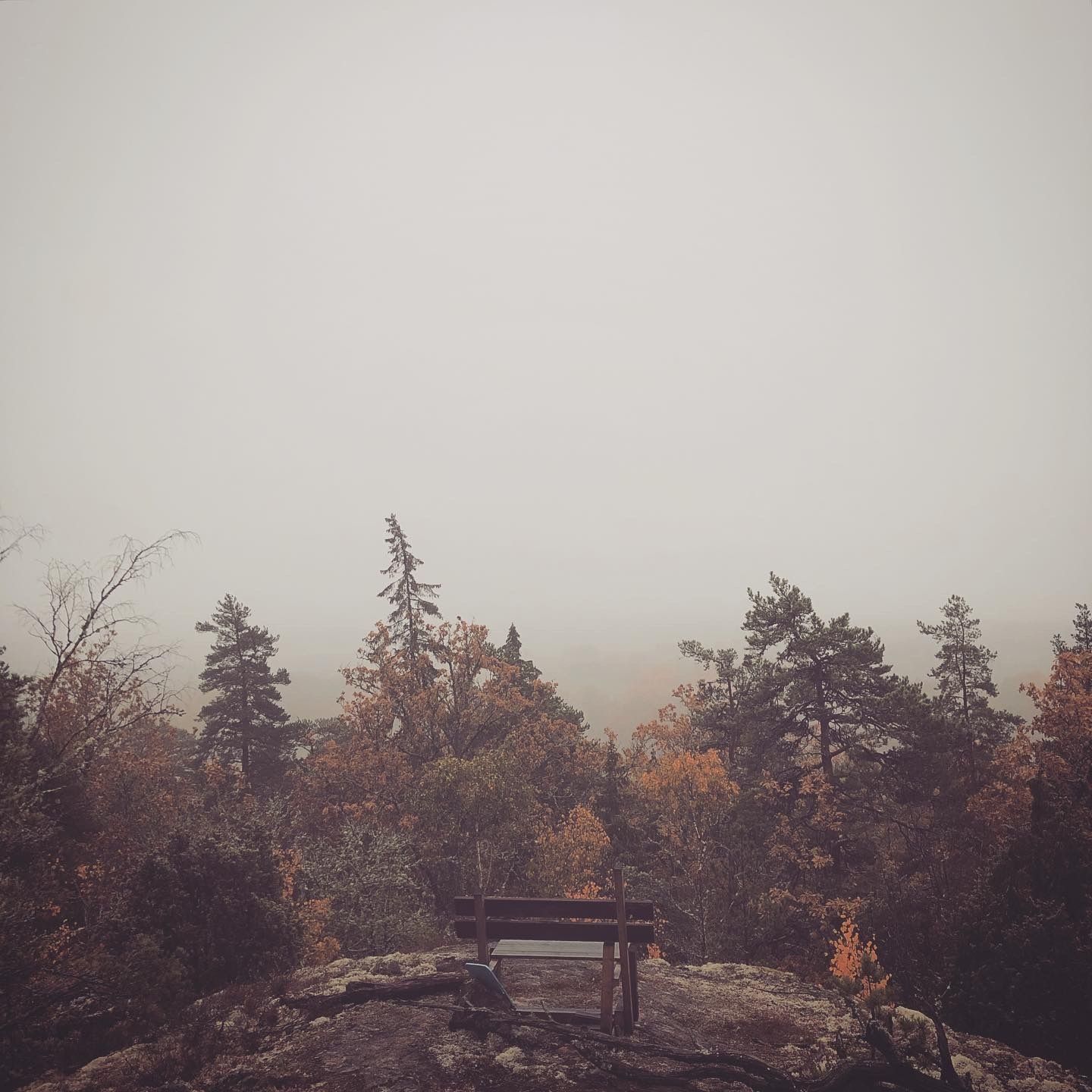 2019-10-16_4.JPG