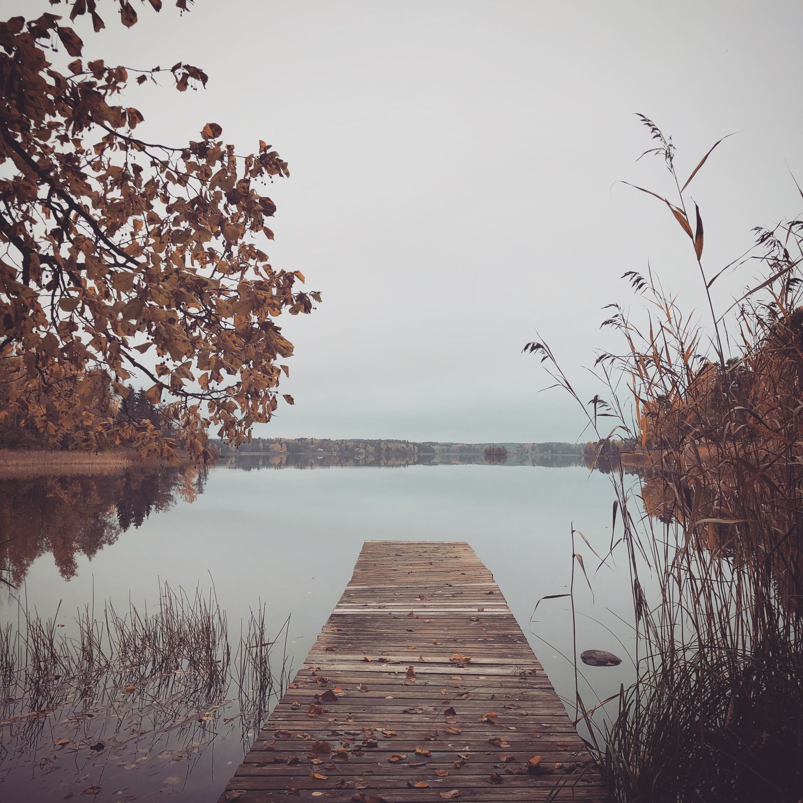 2019-10-17_2.JPG
