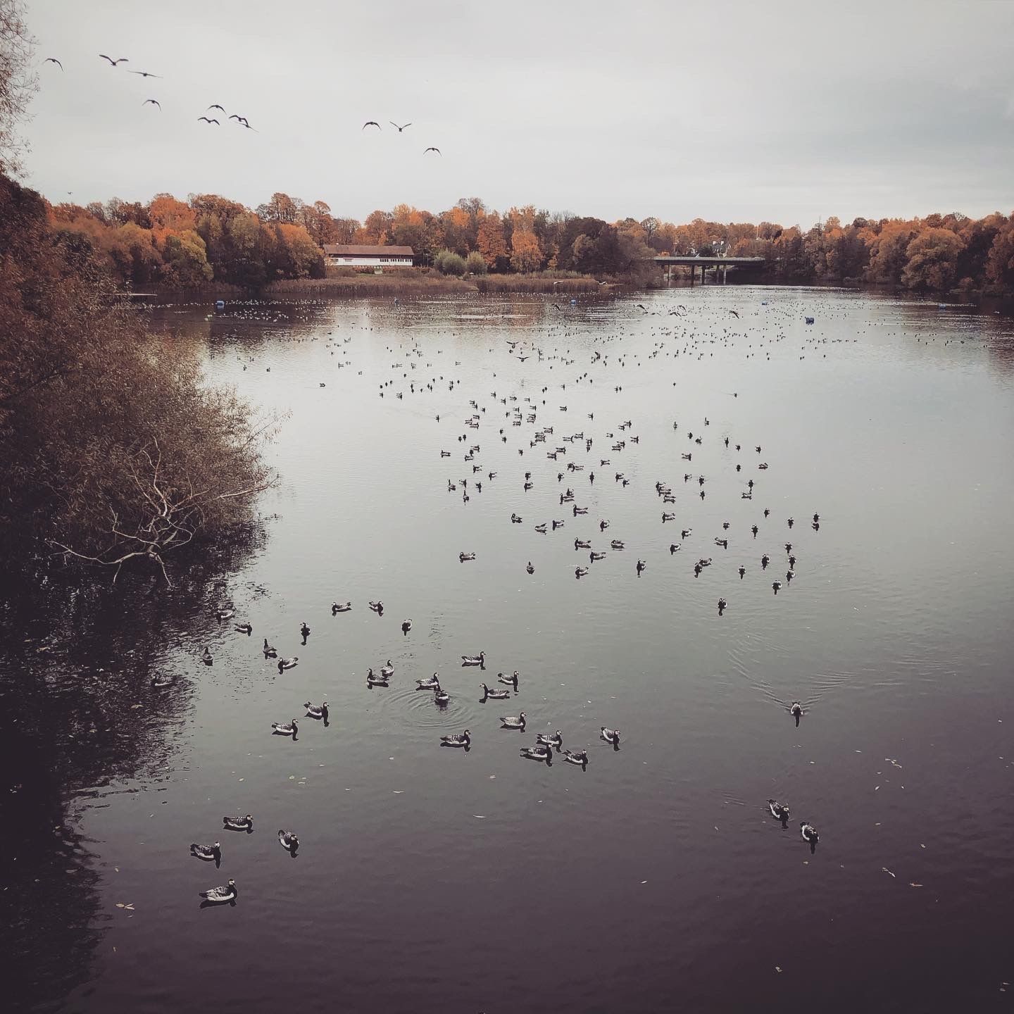 2019-10-18_1.JPG