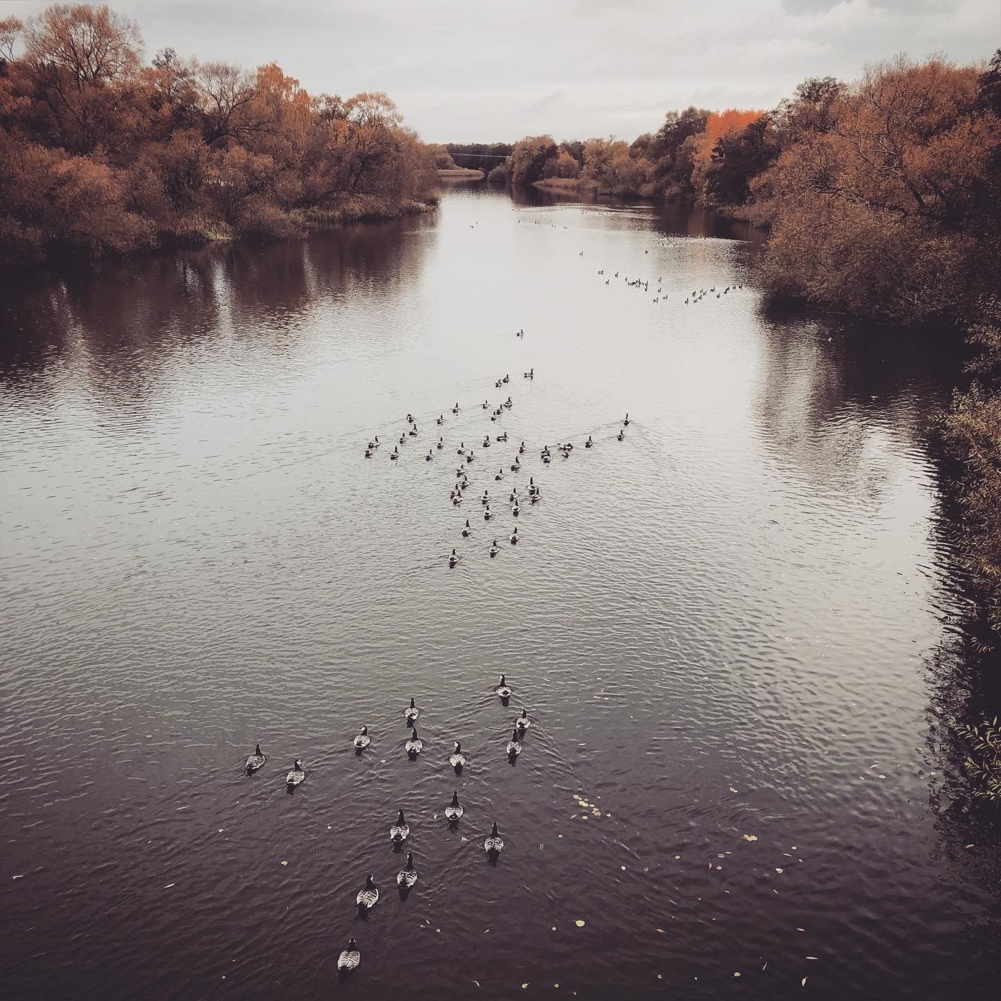 2019-10-18_2.JPG