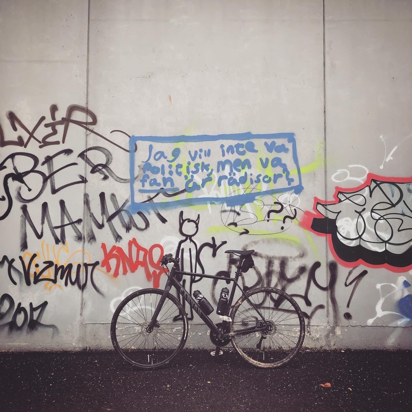 2019-10-19_4.JPG