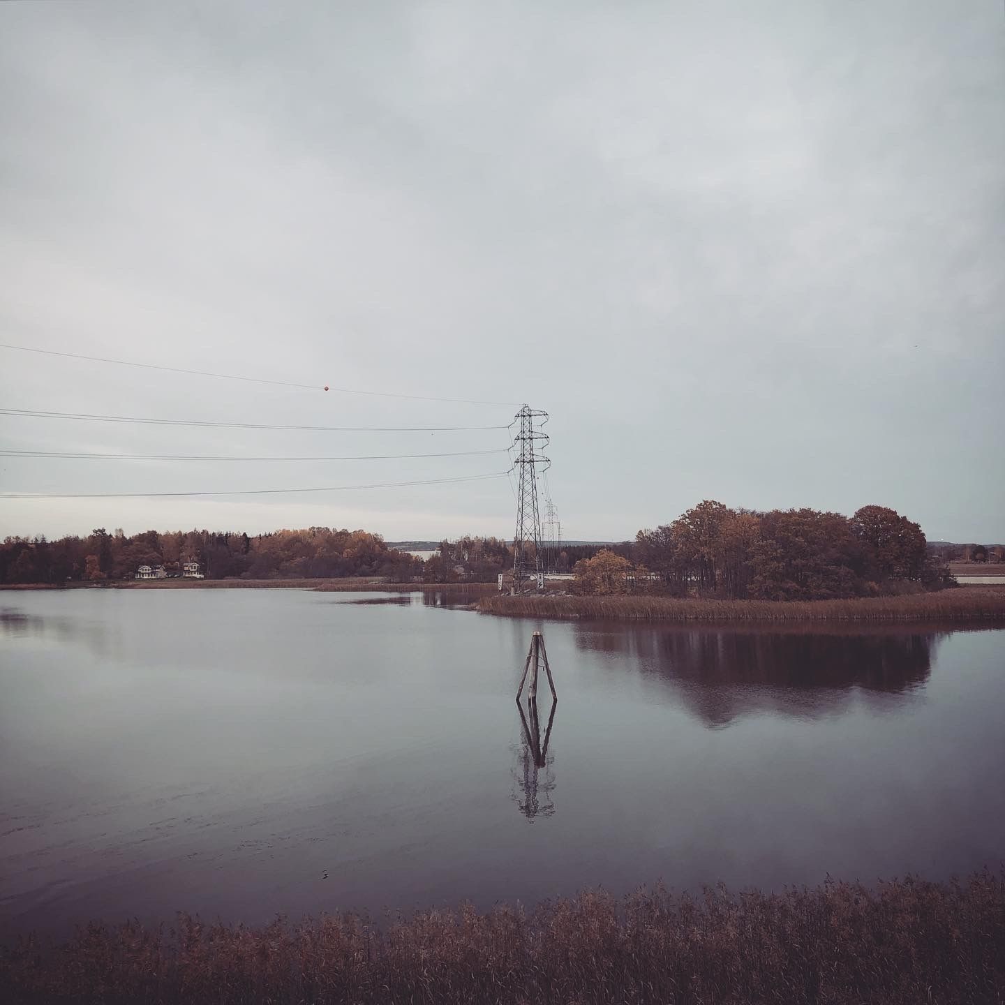 2019-10-19_7.JPG
