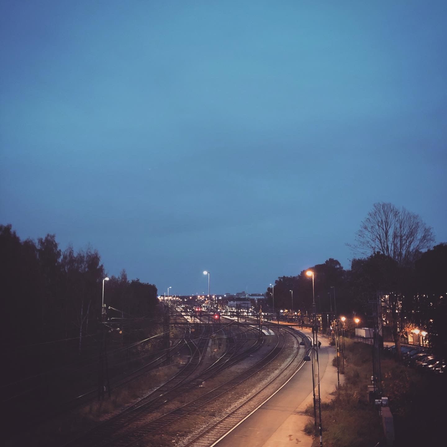 2019-10-19_8.JPG