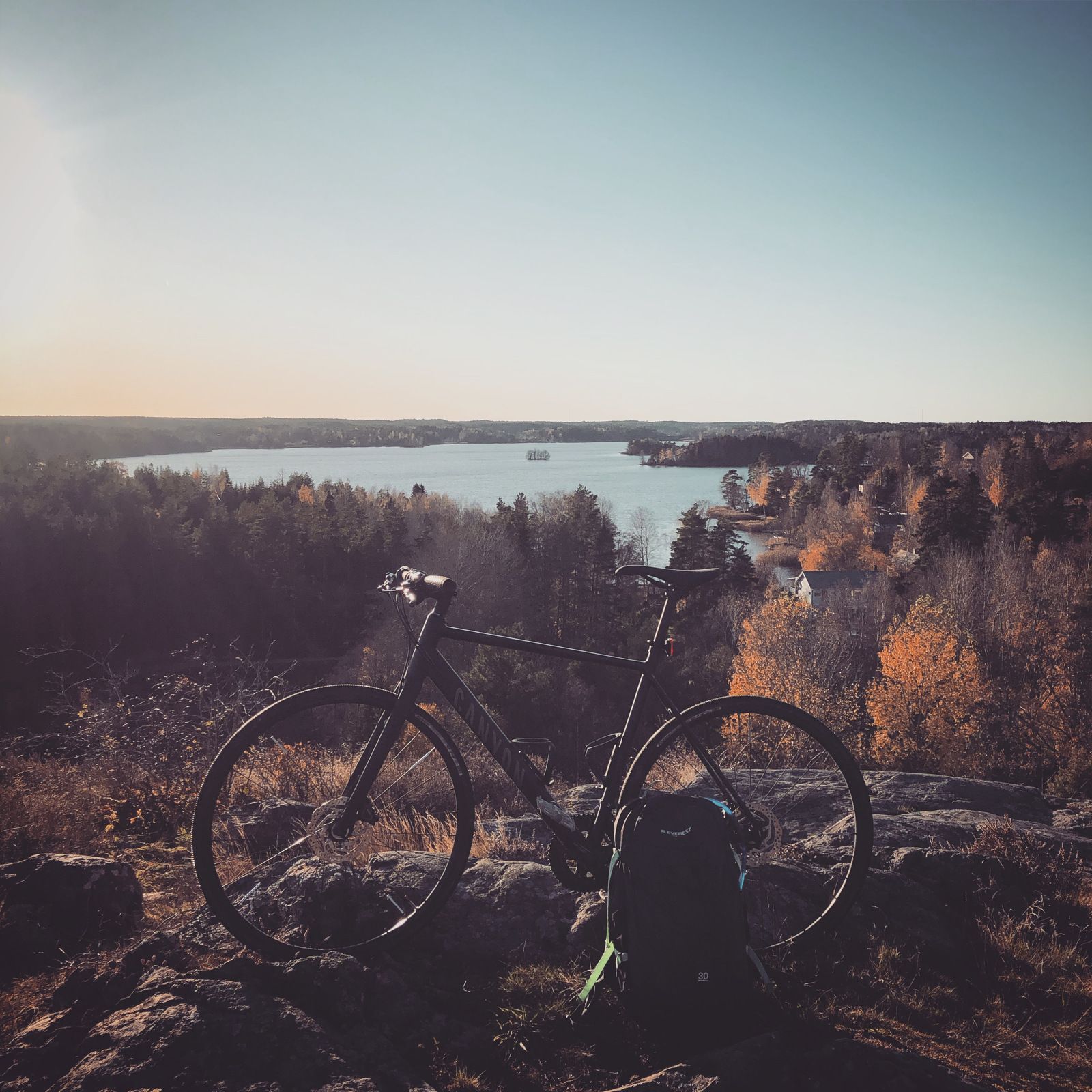 2019-10-29_1.JPG