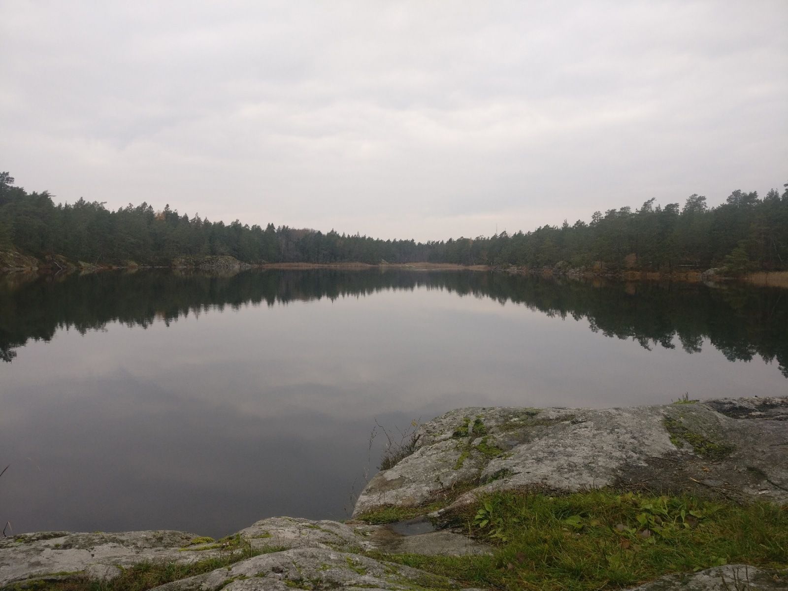 2019-11-02-10-36-37.jpg