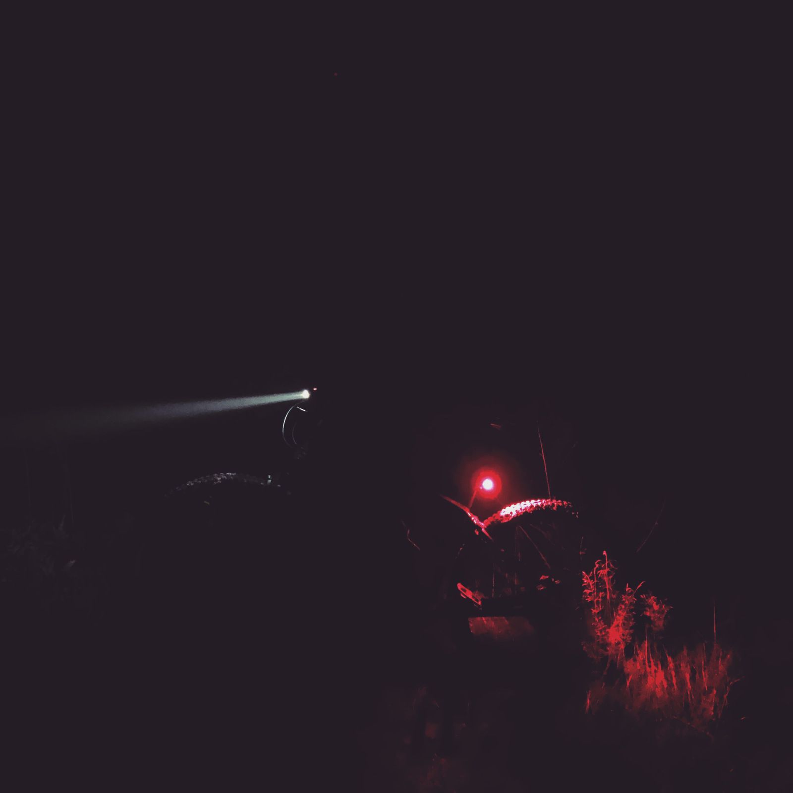 2019-11-13_4.JPG