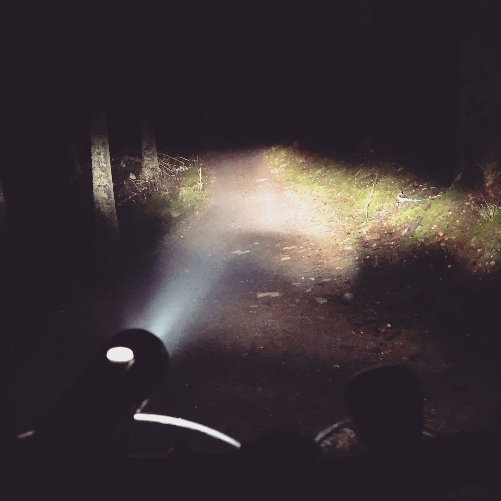 2019-11-14_3.JPG