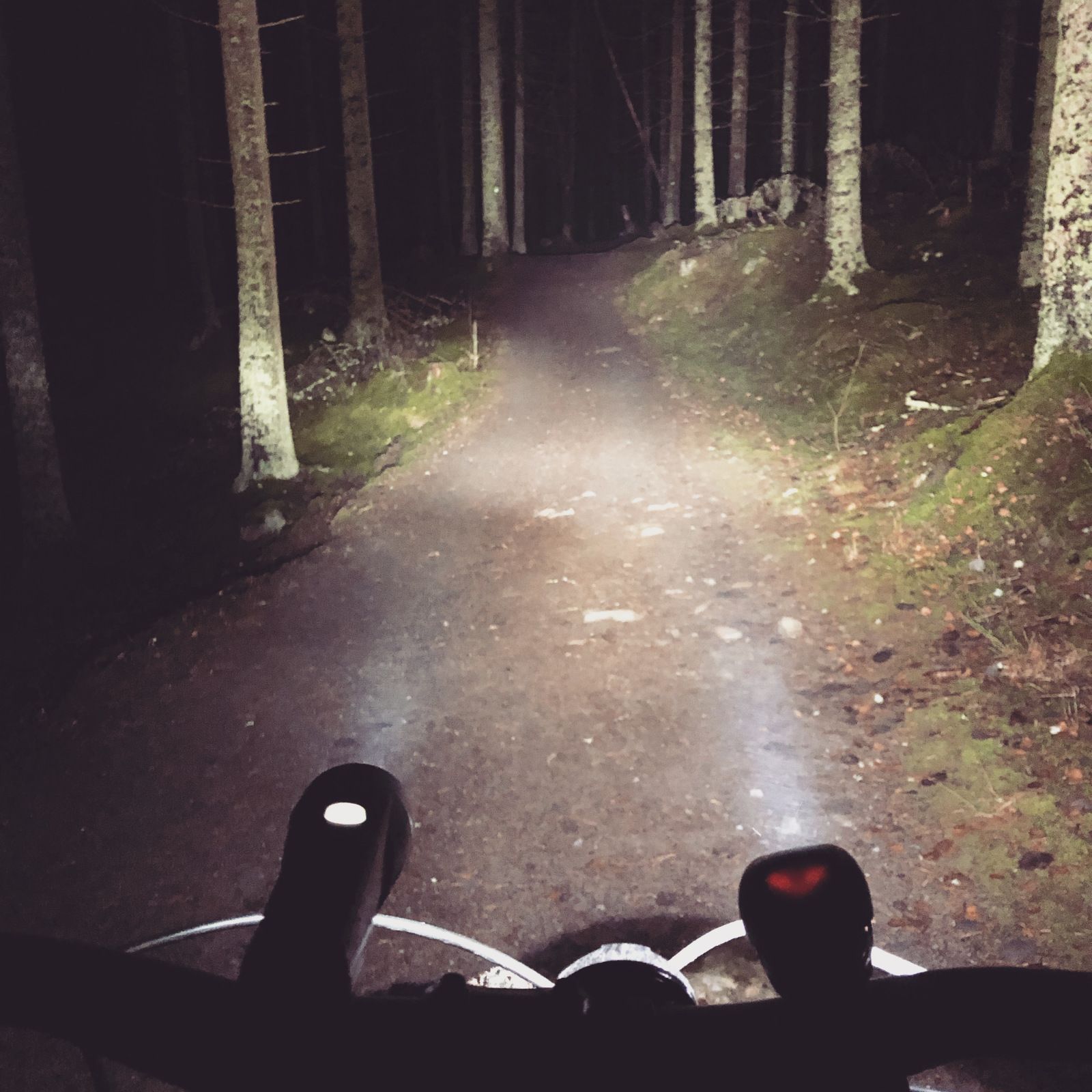2019-11-14_4.JPG