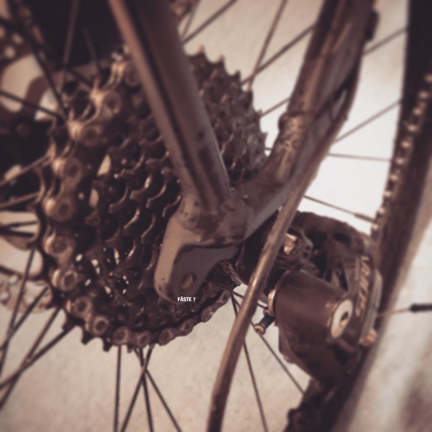 2019-11-14_Roadlite_2_Edit.JPG