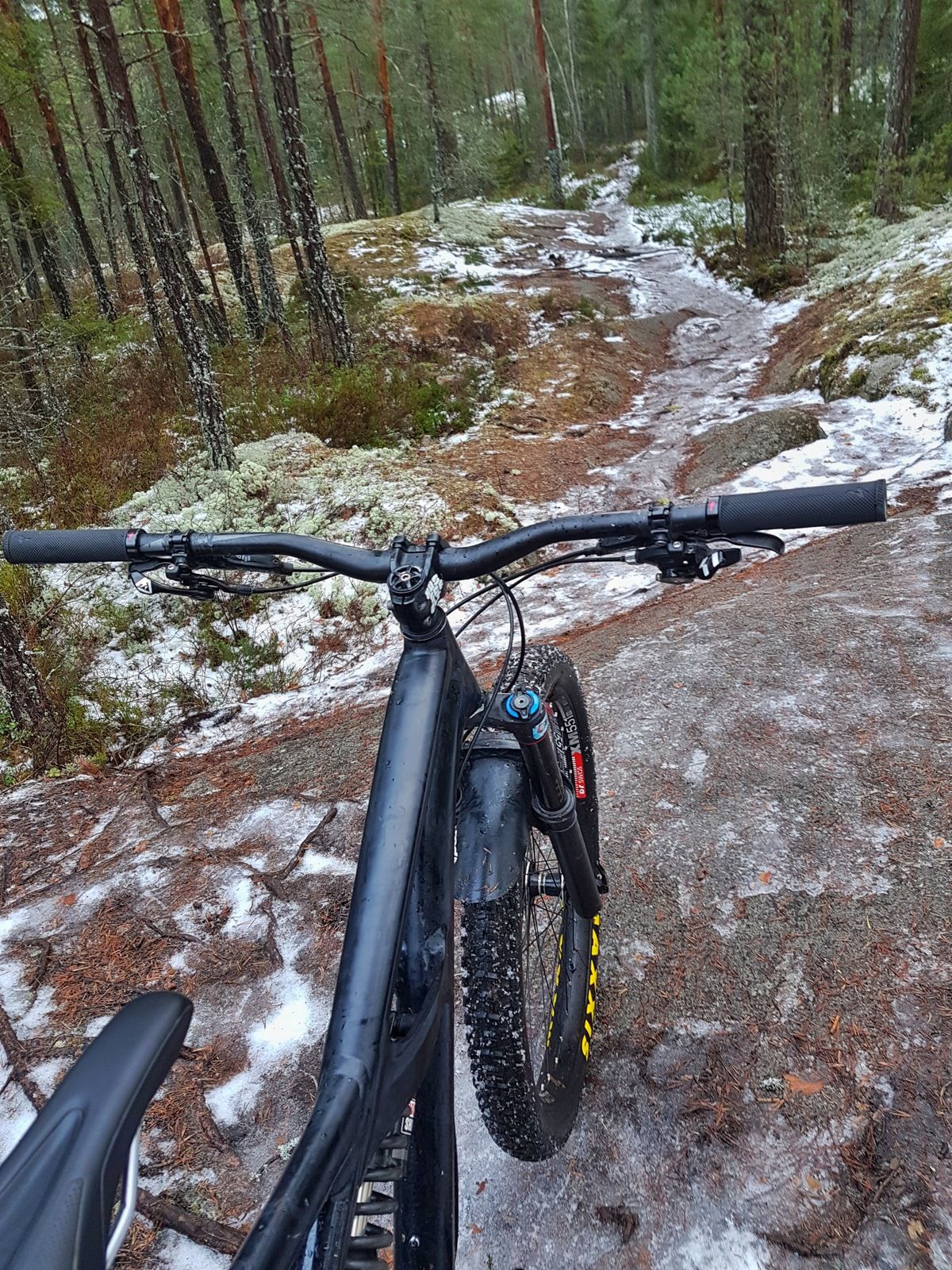 20190106_120406-01.jpeg