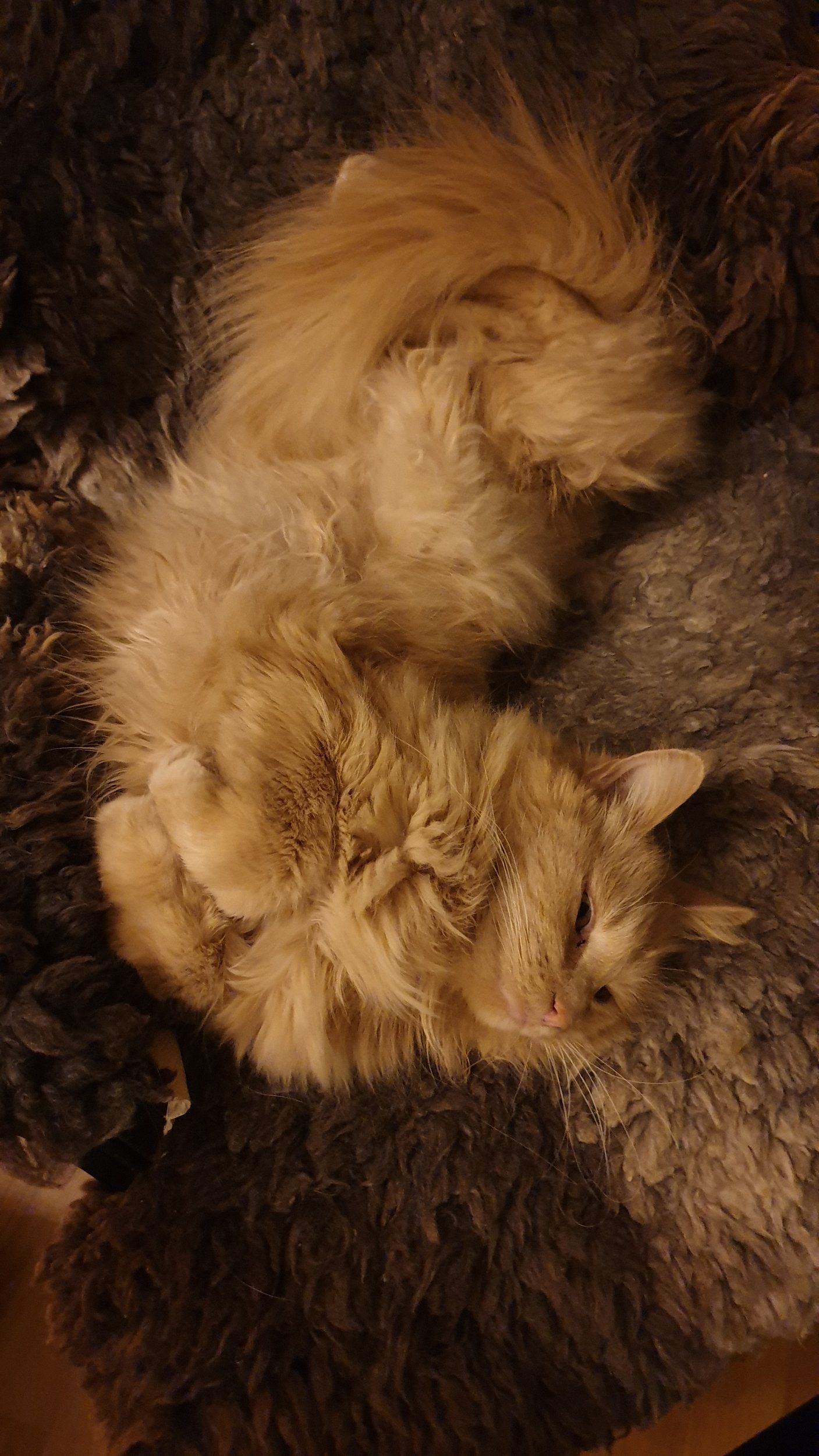 20190116_205734.jpg