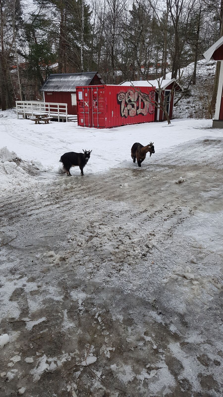 20190117_113222.jpg