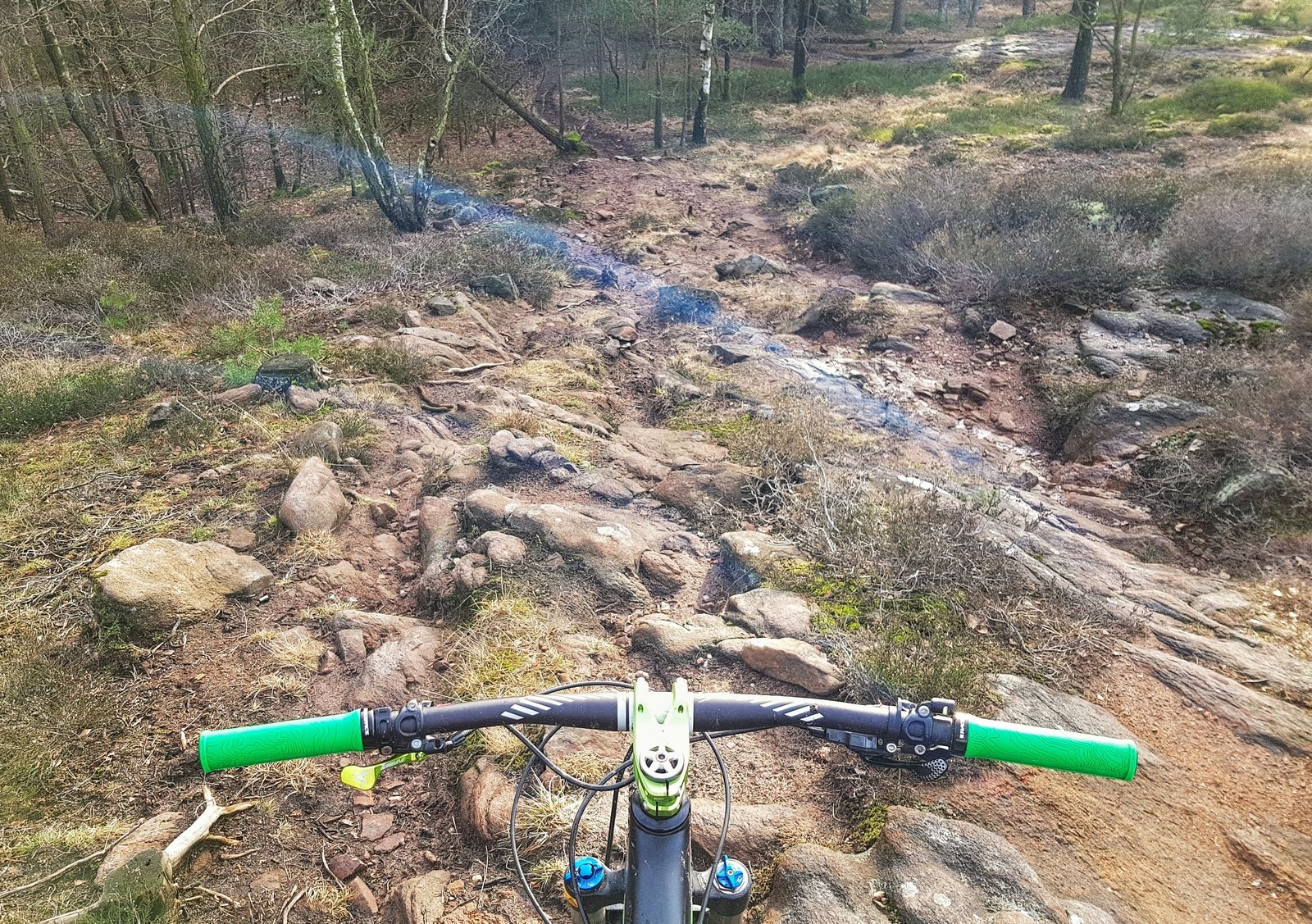 20190213_143337-01.jpeg