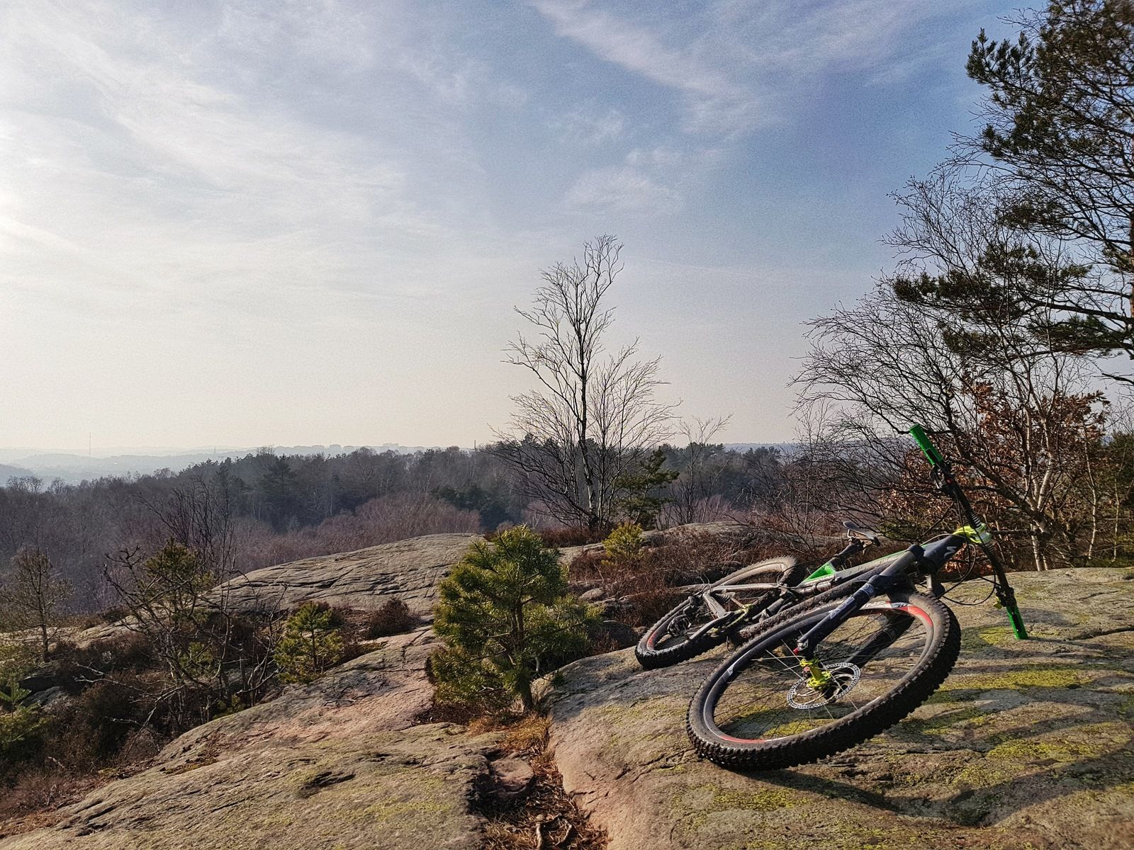 20190216_130304-01.jpeg