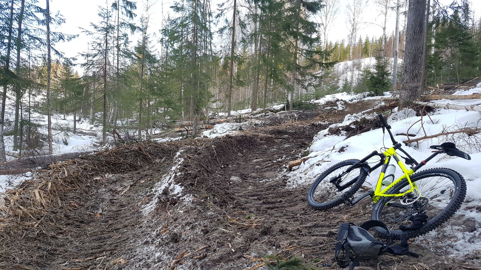 20190217_111824.jpg