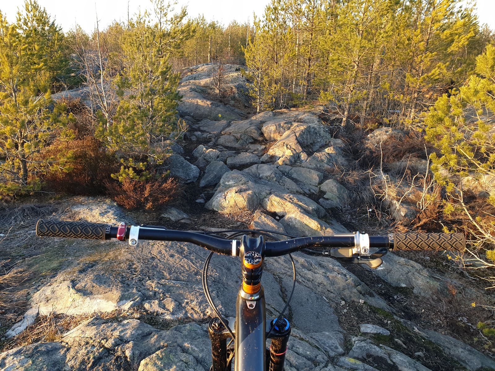20190226_163204.jpg