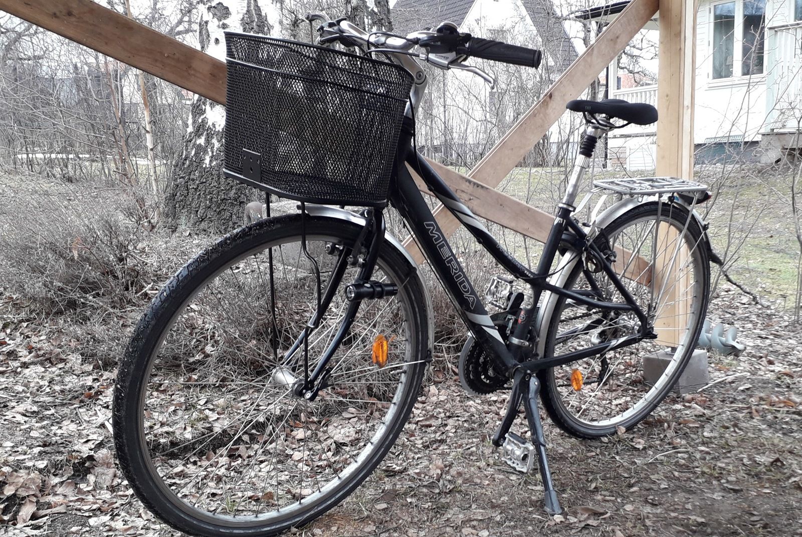 20190227_143313.jpg