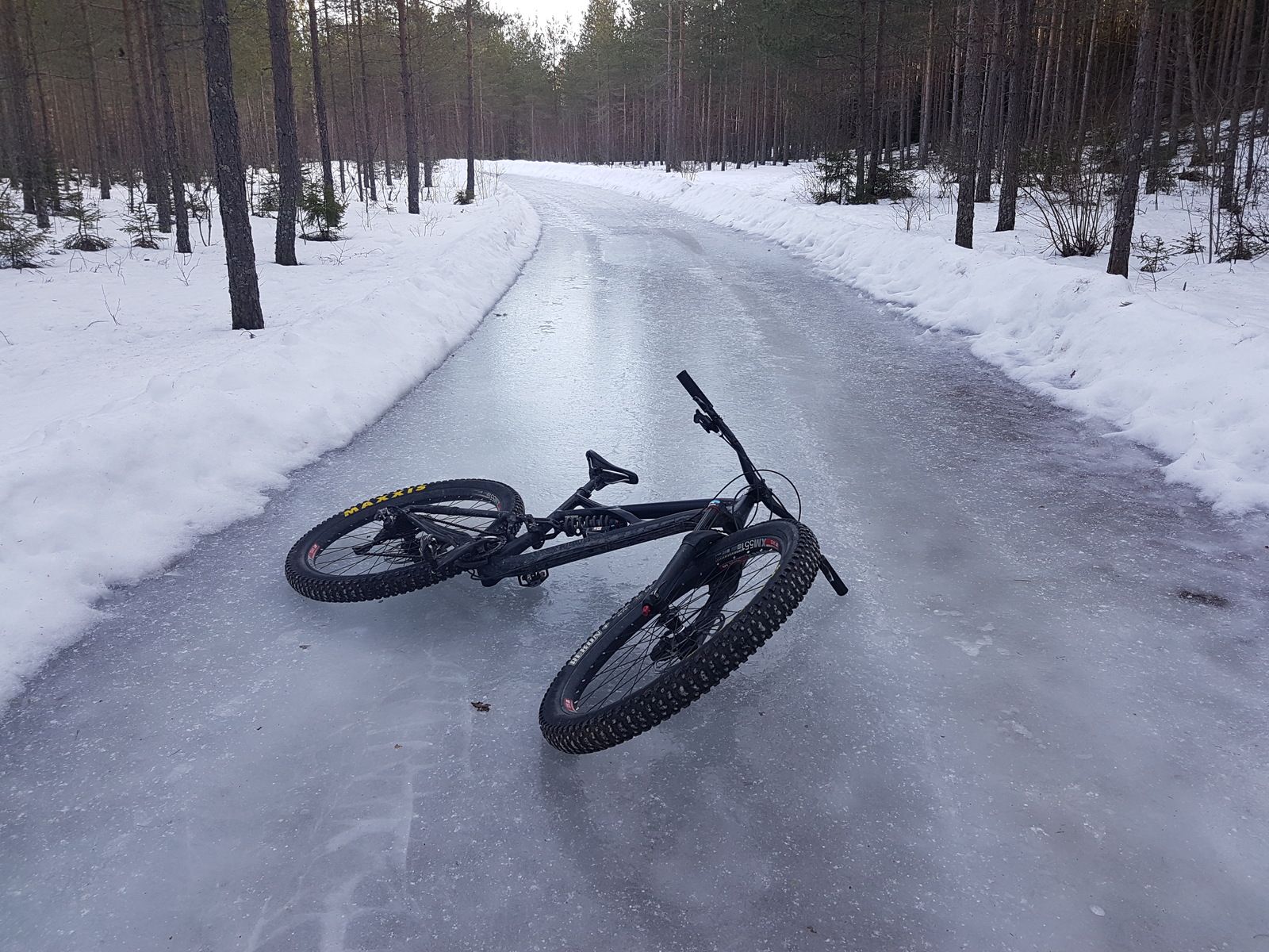 20190301_151337.jpg