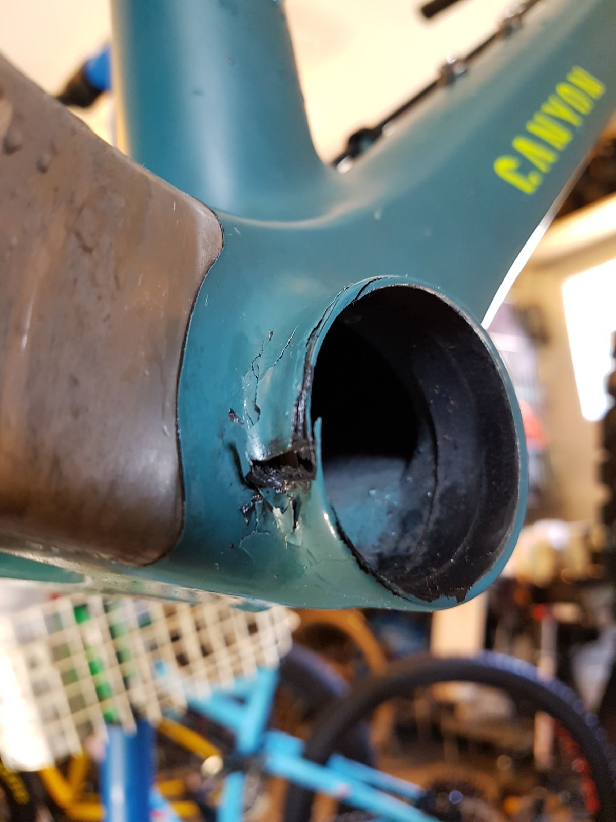 20190331_120745.jpg