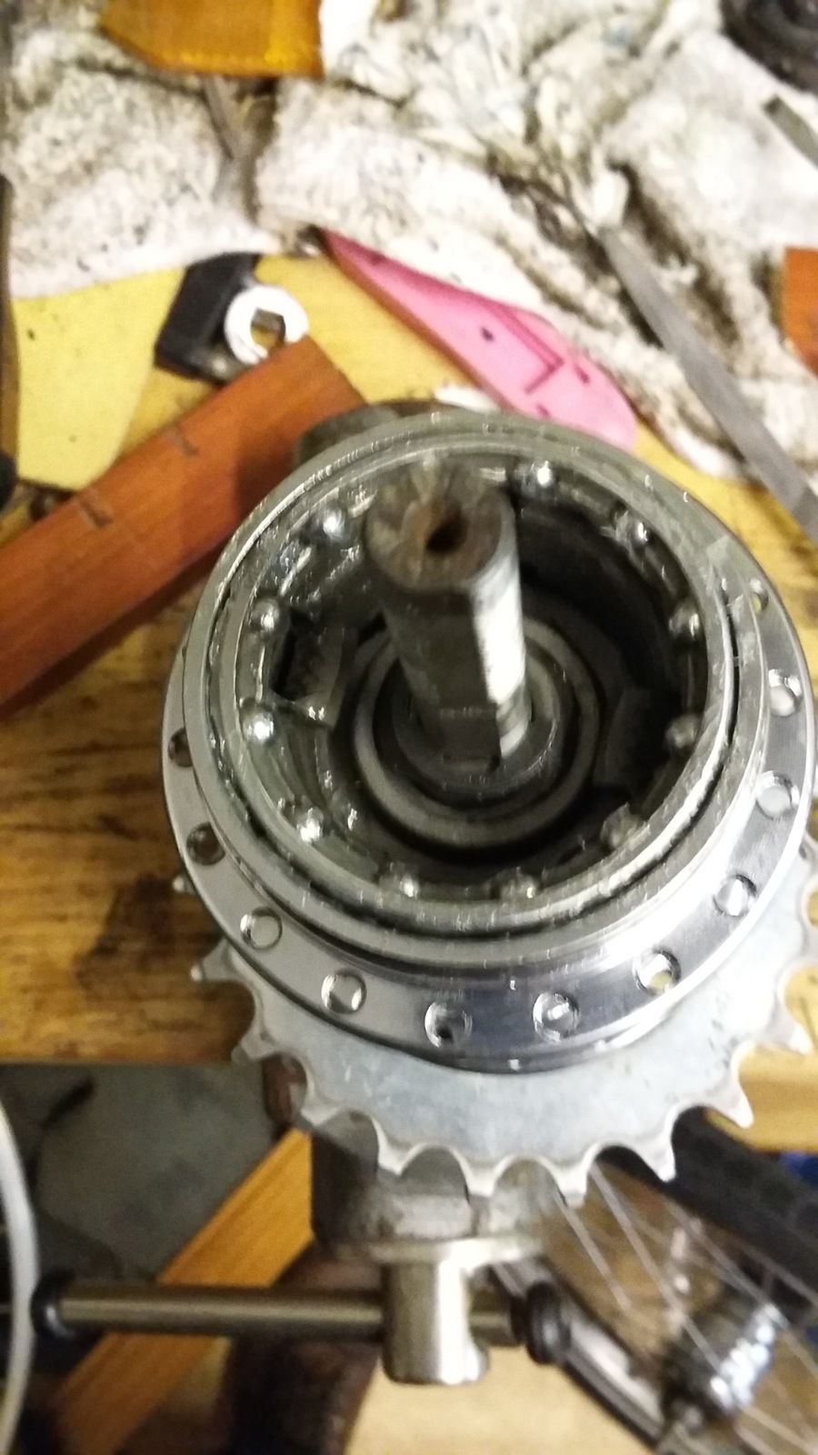 20190402_205933.jpg