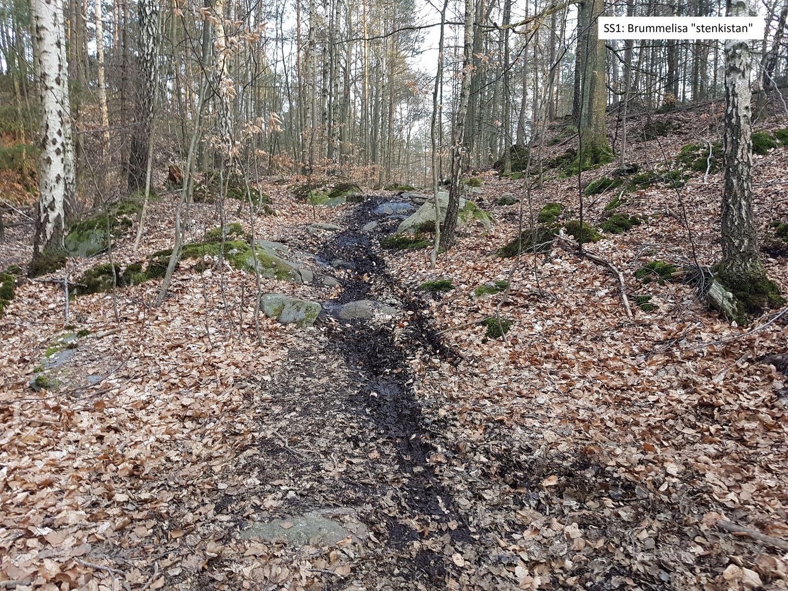 20190404_180937.jpg