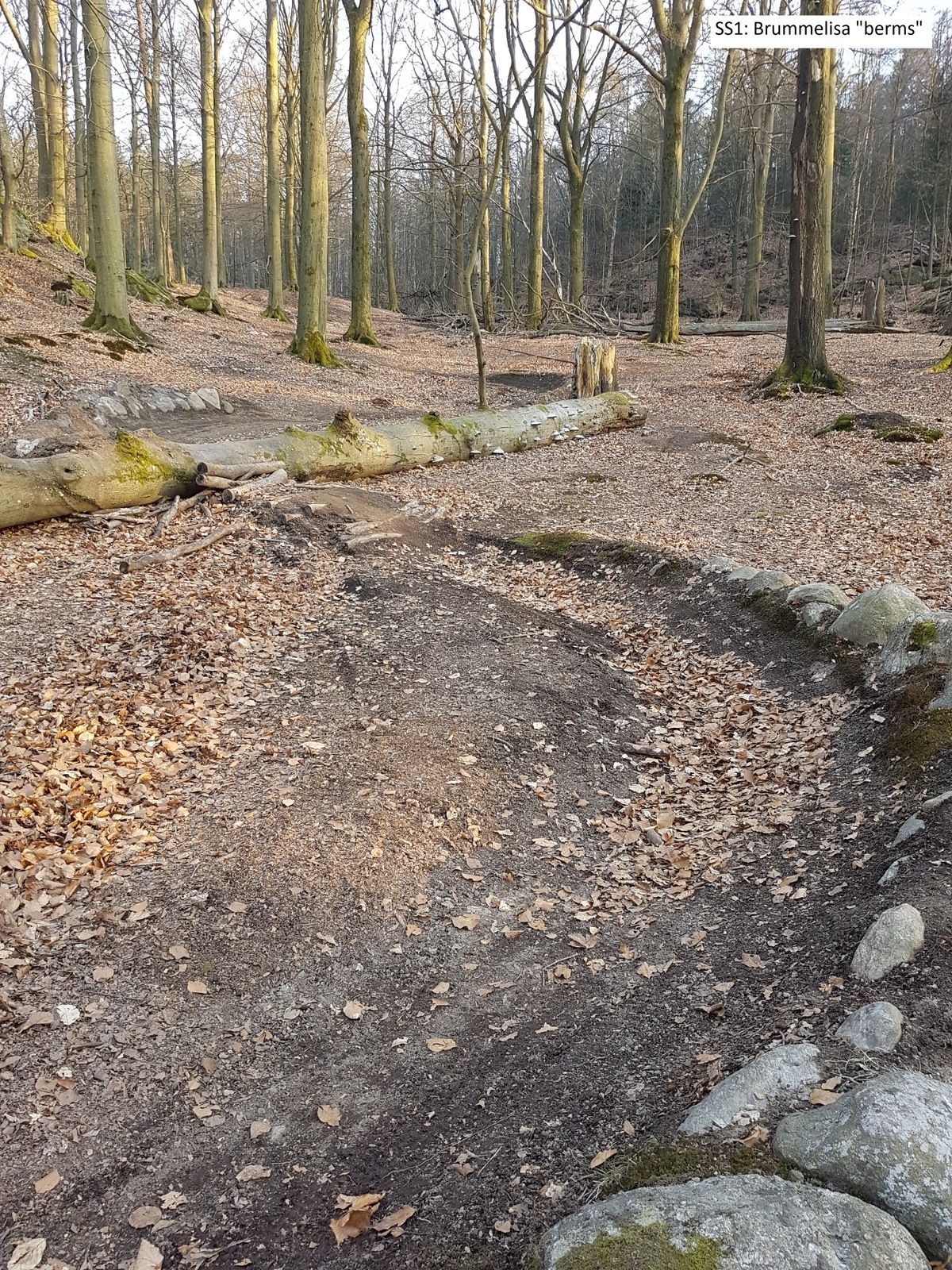 20190404_181421.jpg