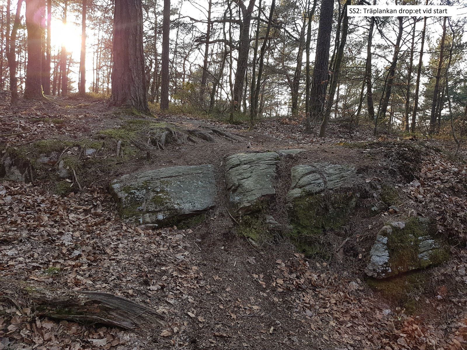 20190404_182618.jpg