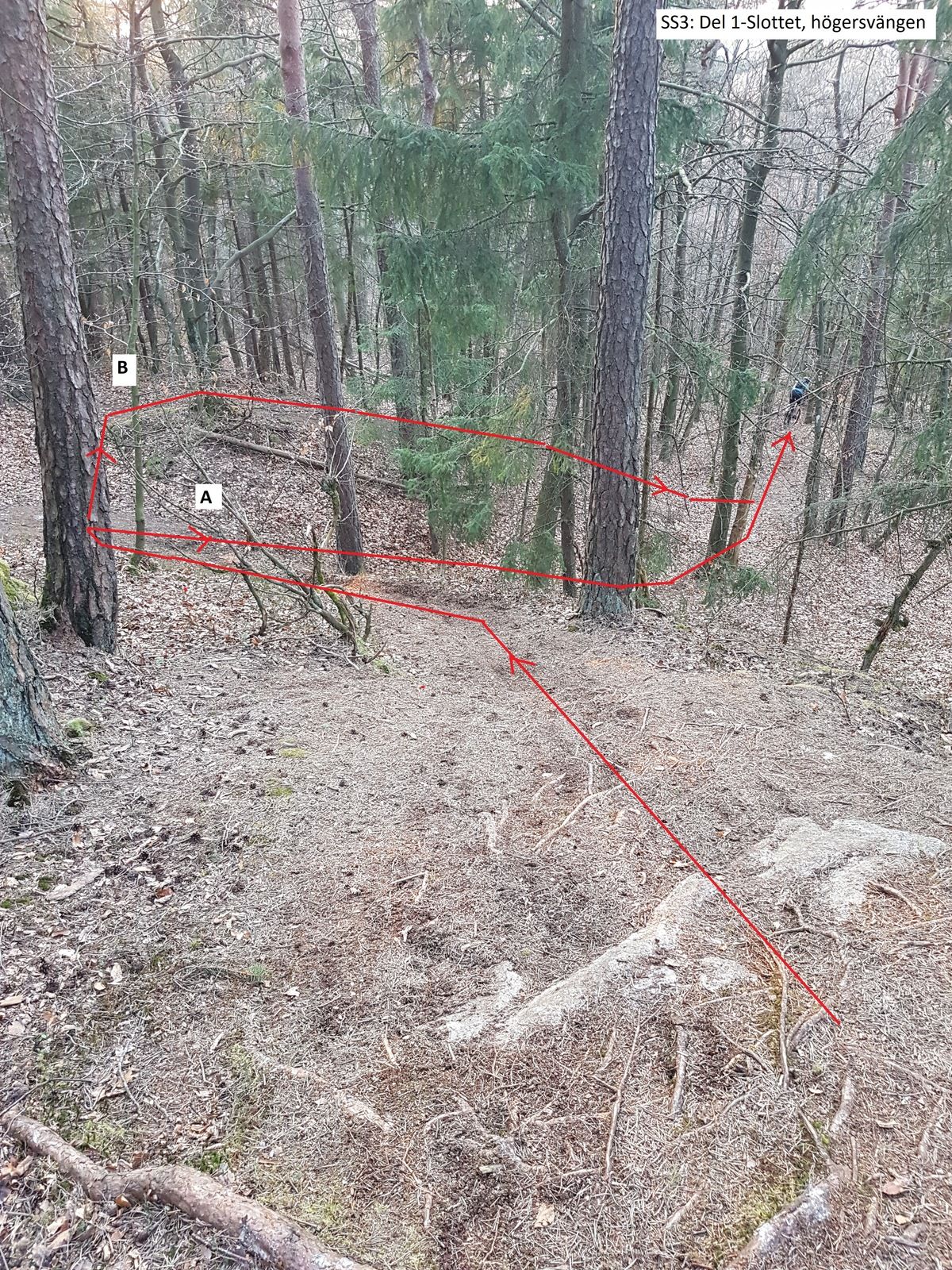 20190404_190617.jpg