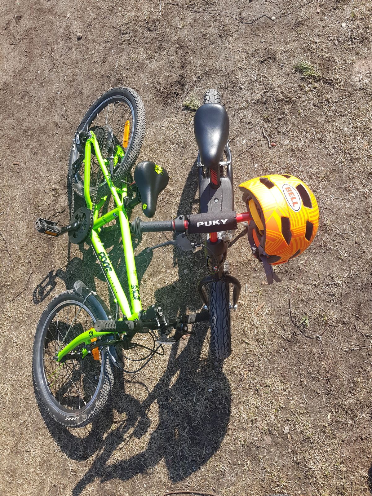 20190406_122238.jpg