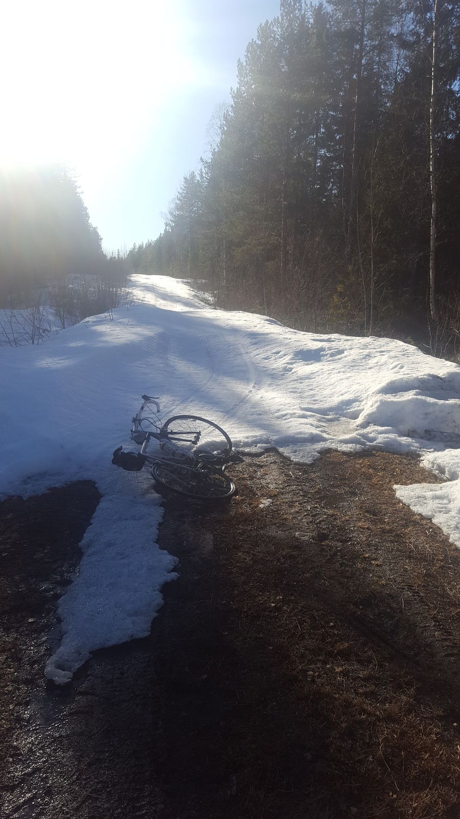 20190417_170333.jpg