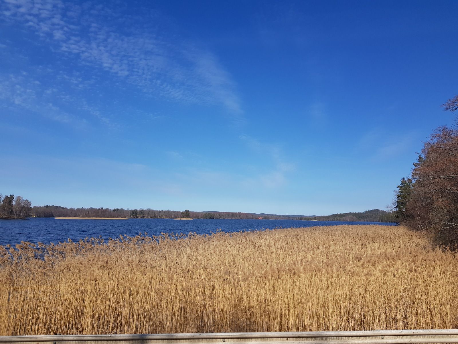 20190420_130711.jpg